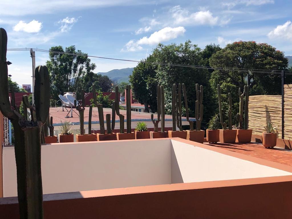 Appartamento Casa Cronica Oaxaca Esterno foto