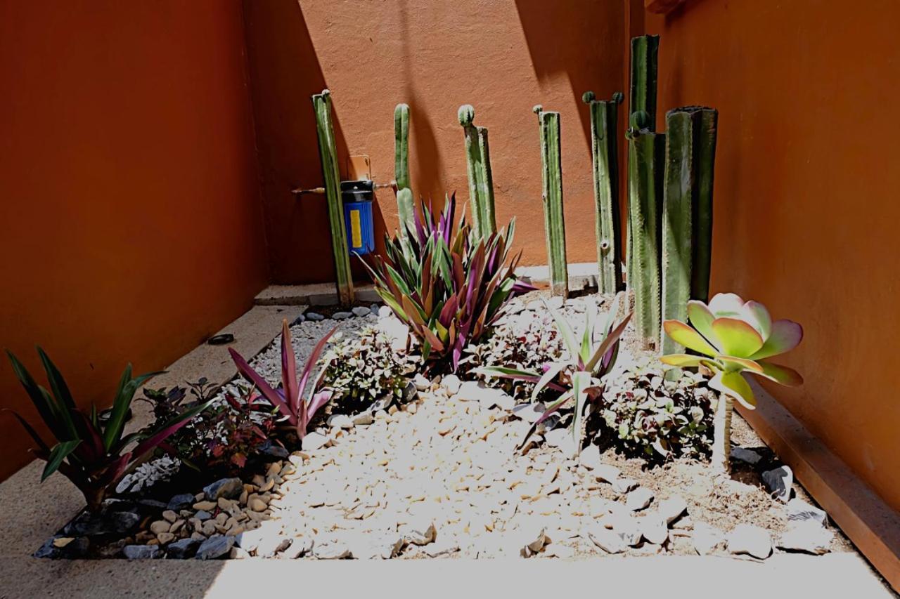 Appartamento Casa Cronica Oaxaca Esterno foto